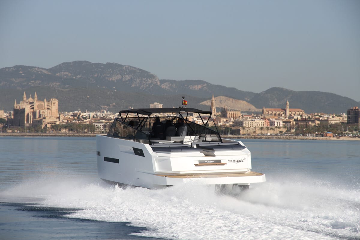 VALENTINA D46